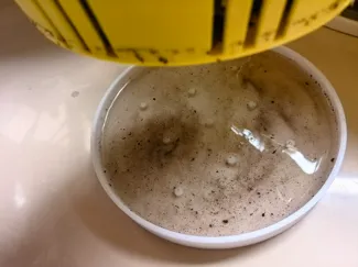 植物盆栽托盘,透水加强款