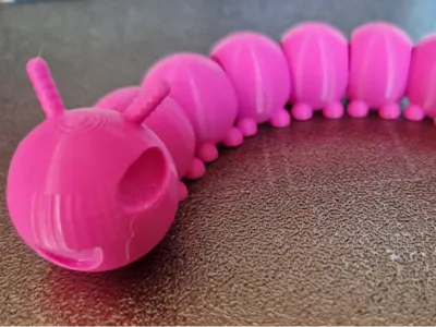 Cute Millipede
