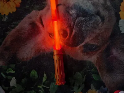 Lightsaber with space for a flashlight