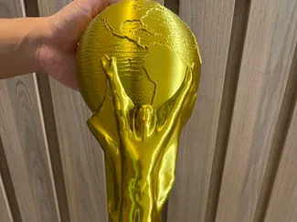 Taça Copa do mundo Sem AMS