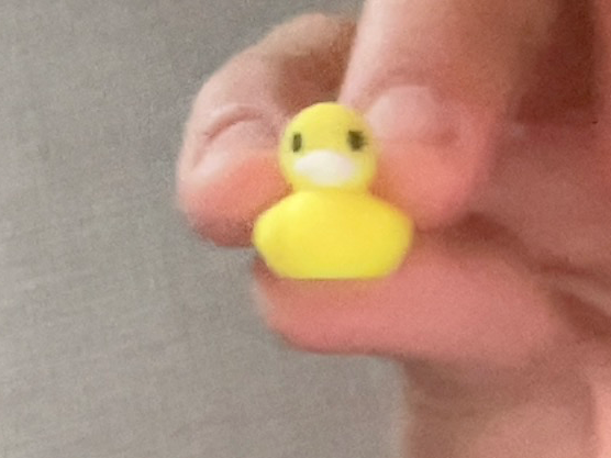 mini army duck magnet and mailbox