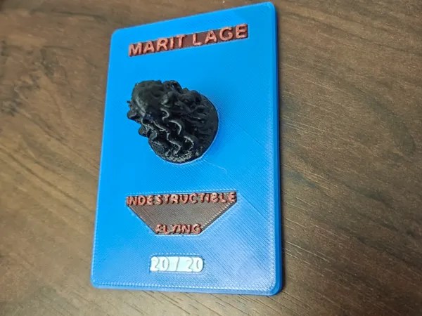 https://makerworld.bblmw.com/makerworld/model/DSM00000002908893/design/3c727568434c31c8.jpg