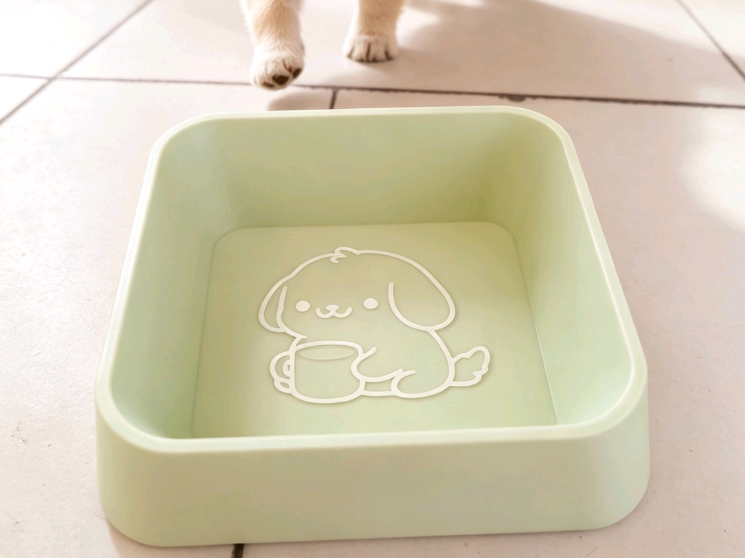 宠物食盆