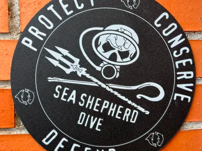 Sea Shepherd Dive Wall Art