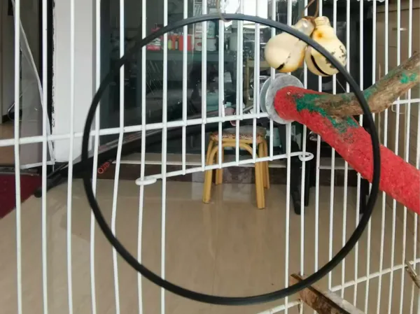 https://makerworld.bblmw.com/makerworld/model/DSM00000002909319/design/6675e7c64e14637c.jpg