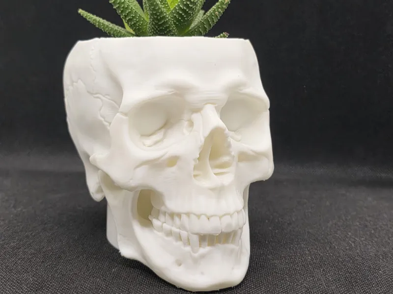 Totenkopfvase