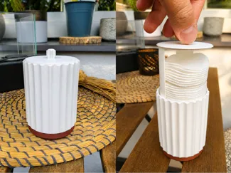 Cotton pad organizer