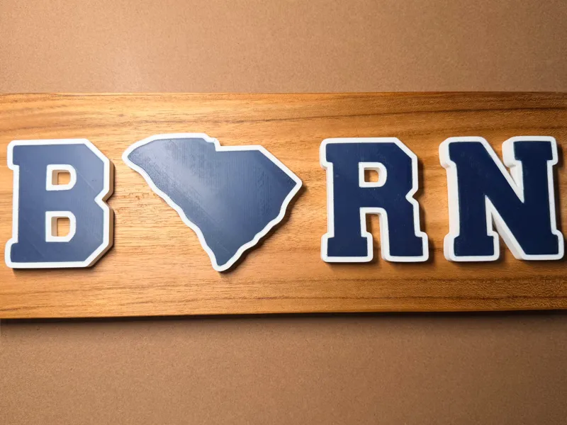 Born Sign