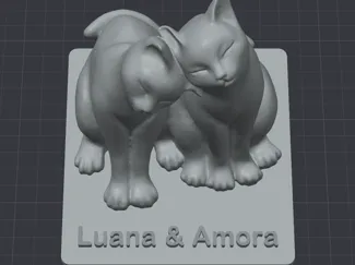 CATS - LUANA & AMORA