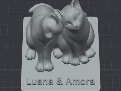 CATS - LUANA & AMORA