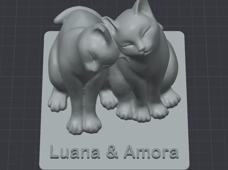 CATS - LUANA & AMORA