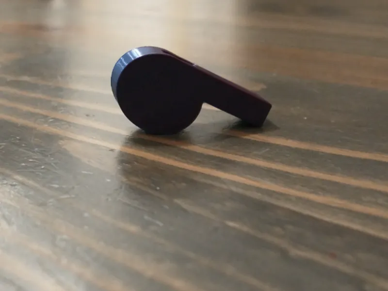 whistle