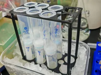 蛋白纯化架
