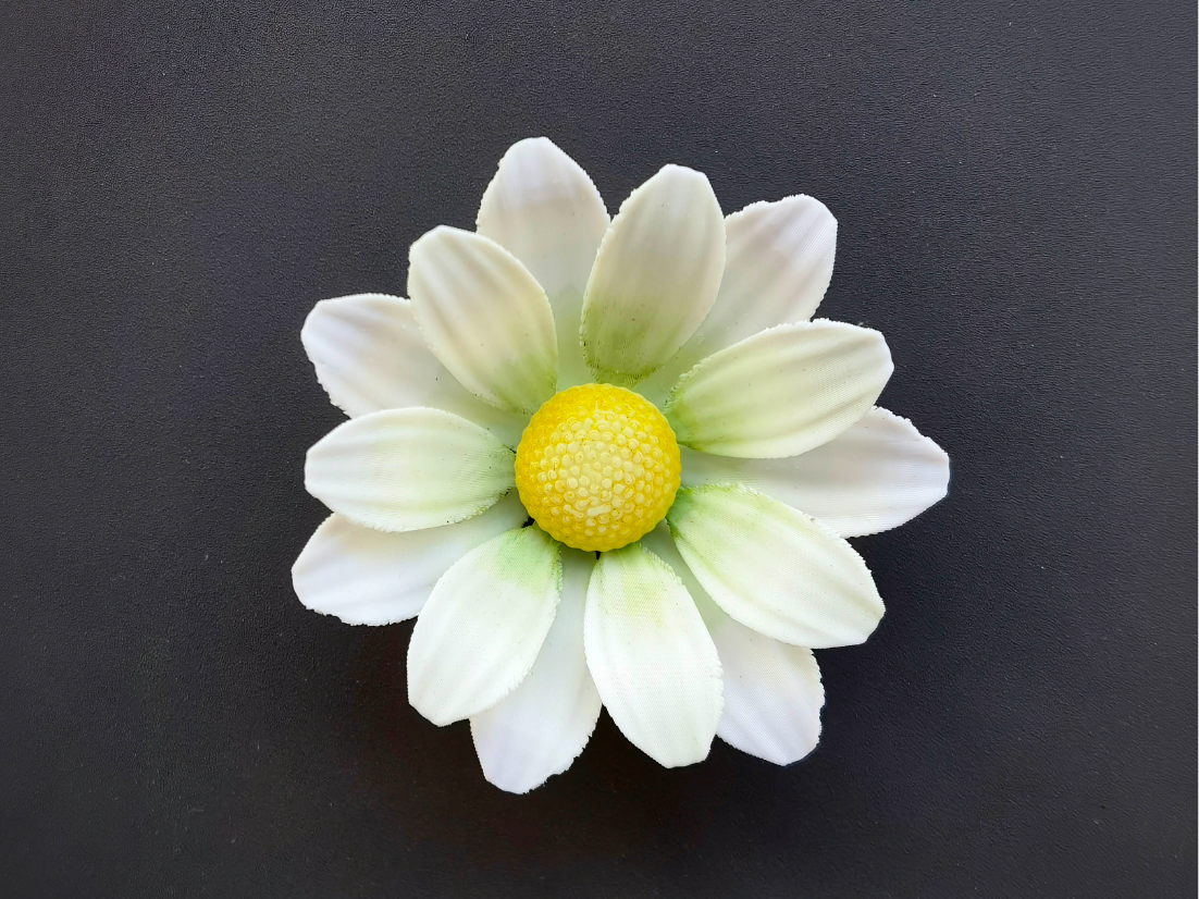 白小菊--冰箱贴