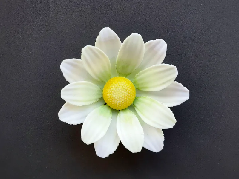 白小菊--冰箱贴