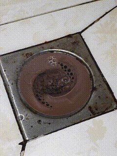 旋涡地漏浴室头发地漏盖防堵