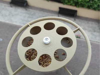 Bird feeder with flat base.