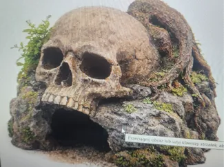 Skull-shaped rock hide for terrariums