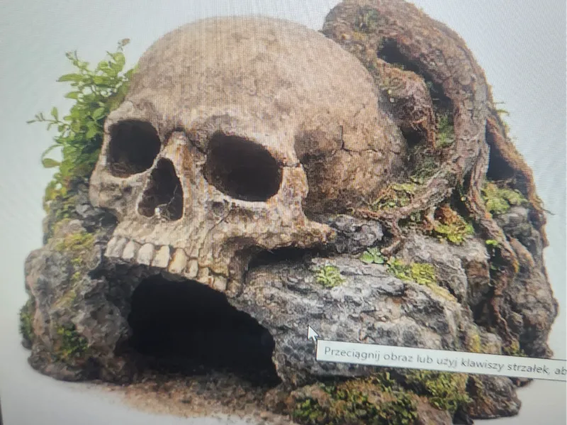 Skull-shaped rock hide for terrariums