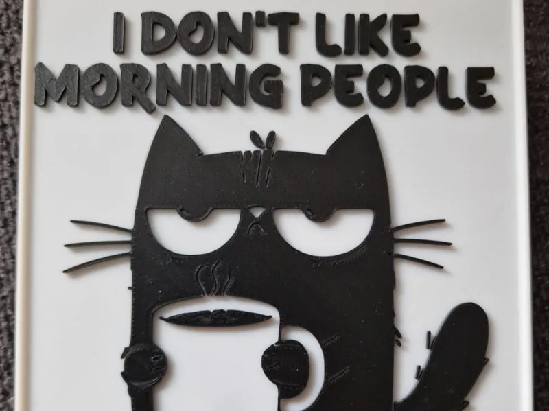 Hate Cat Schild