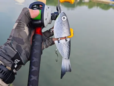 3D Printed Swimbait