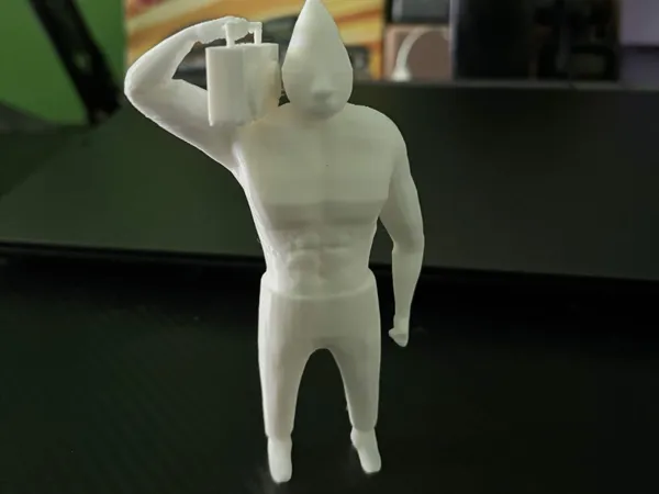 https://makerworld.bblmw.com/makerworld/model/DSM00000002923708/design/9ed4dc3d1cfa8af0.jpg