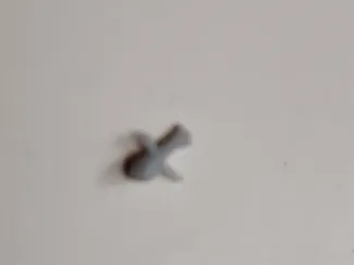smallest Stickman on earth