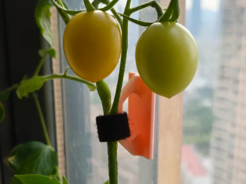 室内植物/爬藤植物固定贴