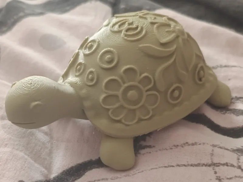 Tartaruga con decori sul carapace