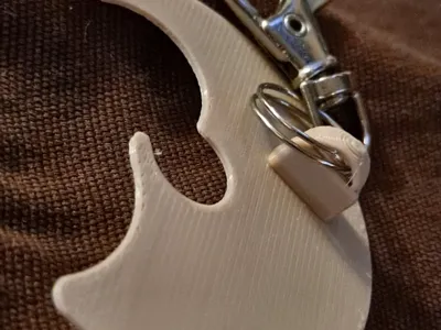 Keychain Can Protector