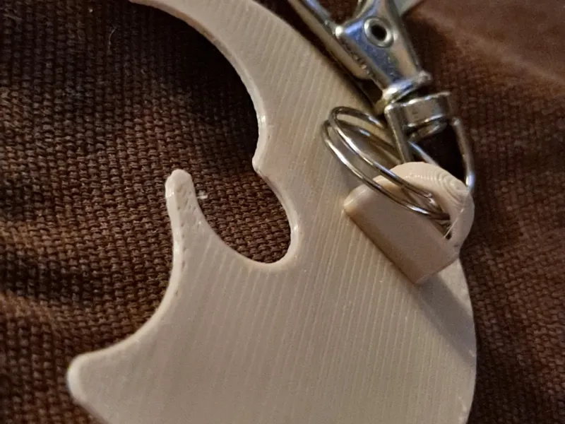 Keychain Can Protector