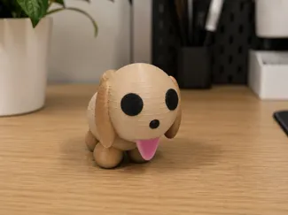 Cute Puppy!