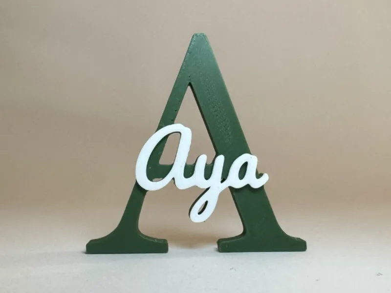 Placa de Identificação 3D - Aya