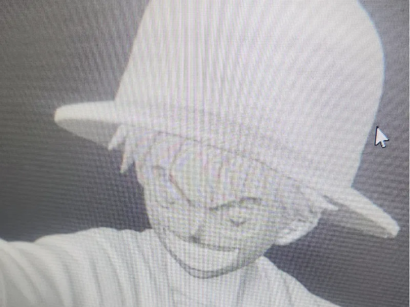 Monkey D Luffy One Piece Bust