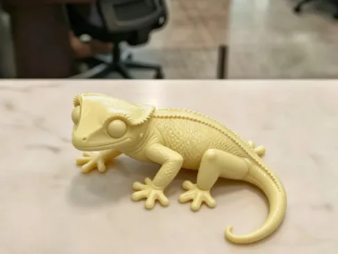 睫角守宫