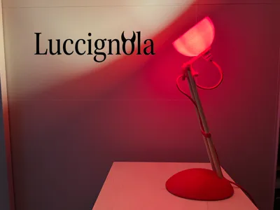 Luccignola LAMP