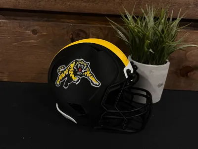 Tigercat helmet