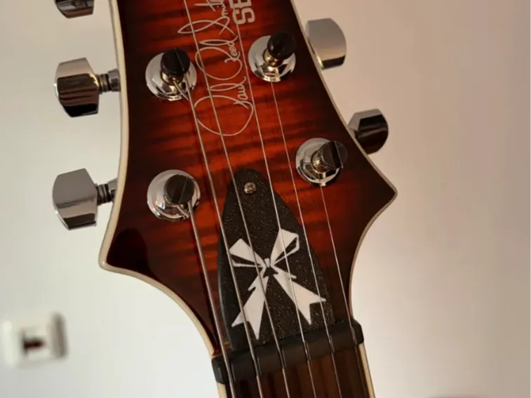 PRS Trust Rod Cover - Band Maid and Rock Lady
