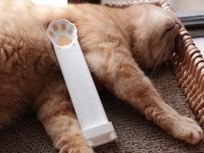 Cat Treat Feeding Spoon