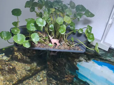 Large Aquarium Hanging Basket