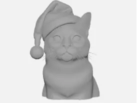 Lucky The christmas cat