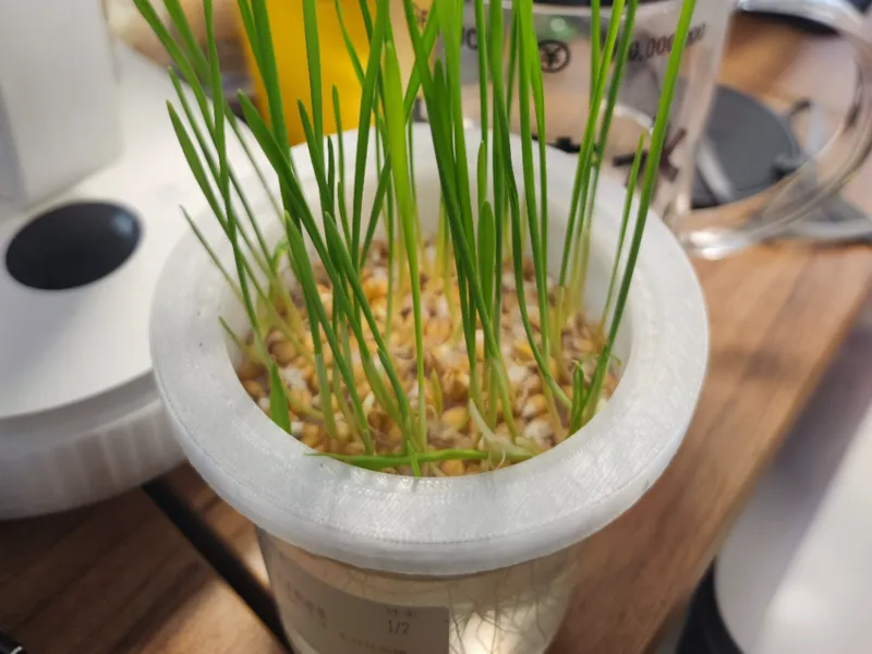 MINICO 猫草种植盆 种植支架