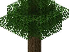 Basic Minecraft tree