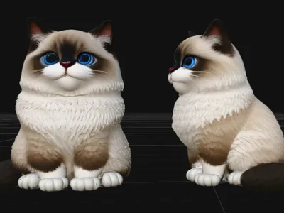 Cute Ragdoll Cat