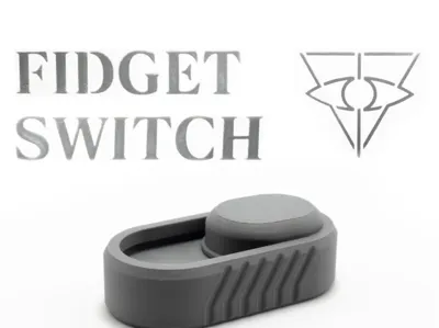 Switch fidget