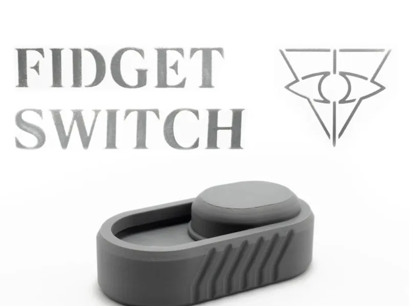 Switch fidget