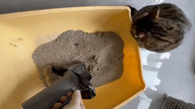 https://makerworld.bblmw.com/makerworld/model/DSM00000002942132/design/79f9130cbced50d3.gif
