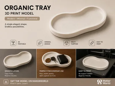 Organic Tray | Minimalist CatchAll Dish | Key Bowl