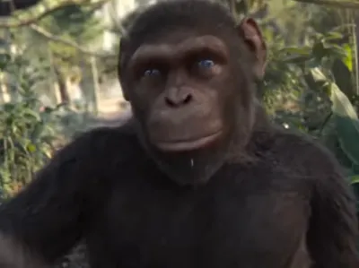 Adventure Of A Lifetime Head For Monkey 13 Model