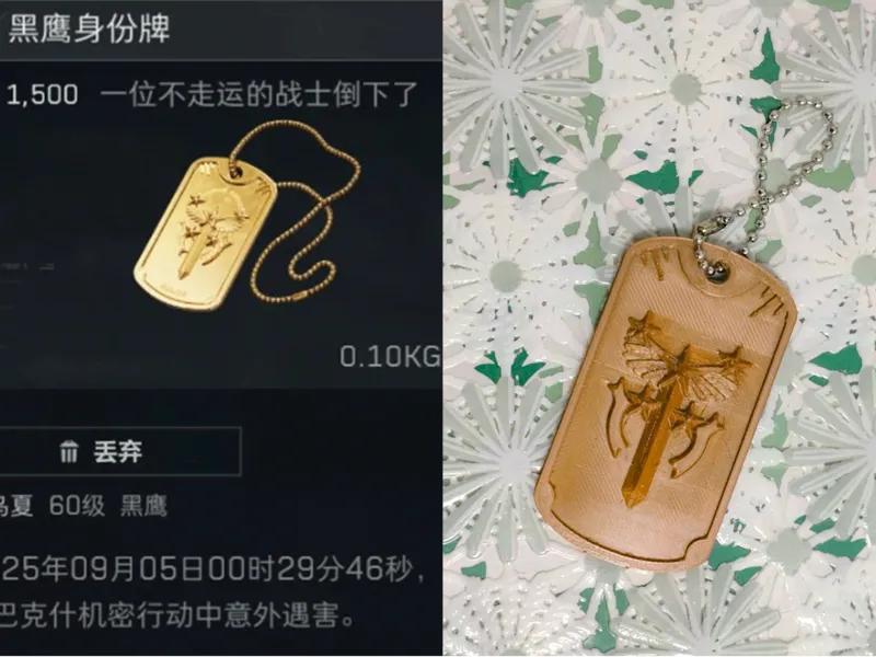 三角洲行动黑鹰身份牌